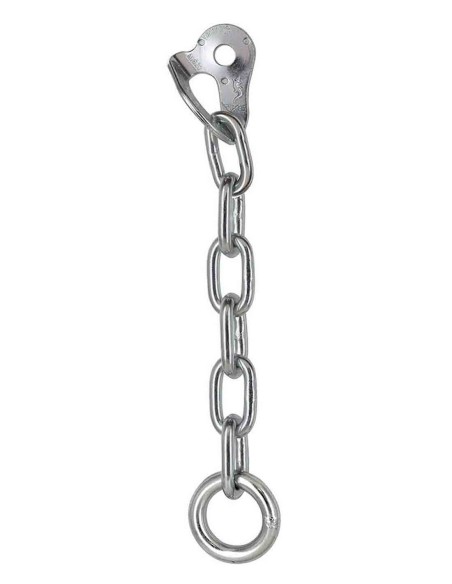 Plaquetas con cadena Fixe Reunión C cadena M10
