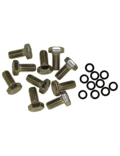 Tornillos, tensores y resina Raumer JUEGO DE 10 TORNILLOS INOX