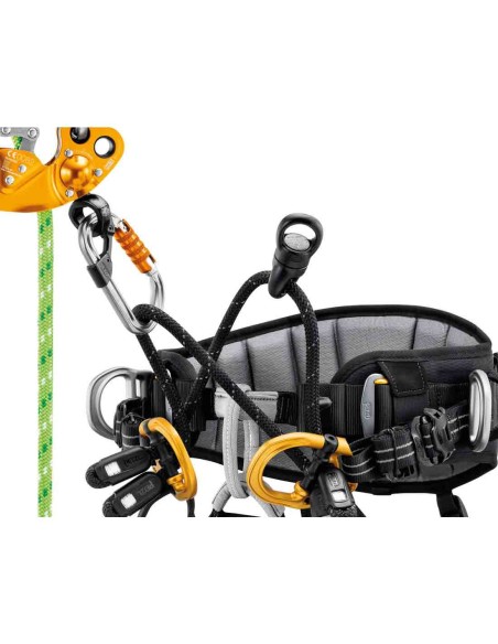 Arneses Poda y cintura Petzl Arnes Sequoia Srt