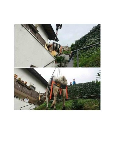 Arneses Kong Waka Arnés Para Bobinos y Equinos