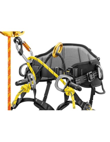 Arneses Poda y cintura Petzl Arnés Sequoia