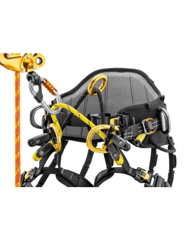 Arneses Poda y cintura Petzl Arnés Sequoia Plus