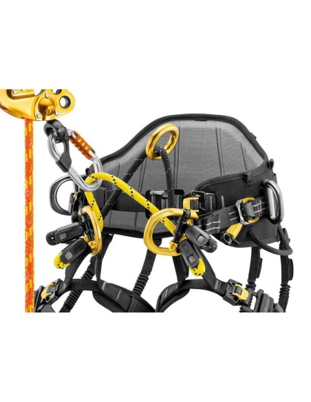Arneses Poda y cintura Petzl Arnés Sequoia Plus