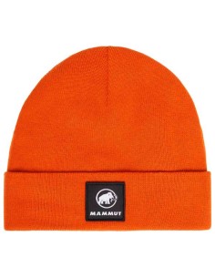 Gorros y complementos Mammut Gorro Fedoz Beanie