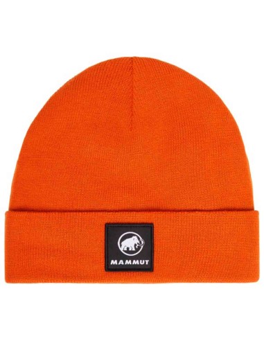 Gorros y complementos Mammut Gorro Fedoz Beanie