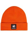 Gorros y complementos Mammut Gorro Fedoz Beanie