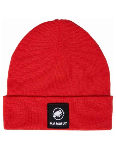 Gorros y complementos Mammut Gorro Fedoz Beanie