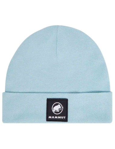 Gorros y complementos Mammut Gorro Fedoz Beanie